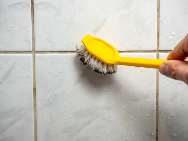 Best Residential Mold Removal  in Point Pleasant, NJ